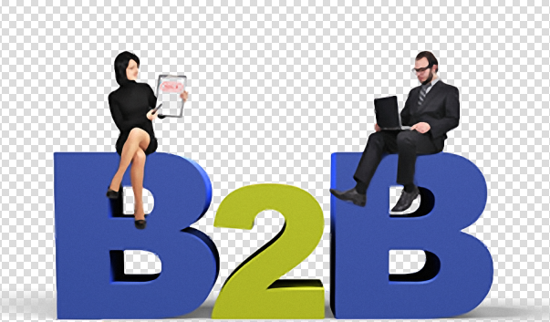 <b>B2BICRMϵyIQ@Ĵ</b>